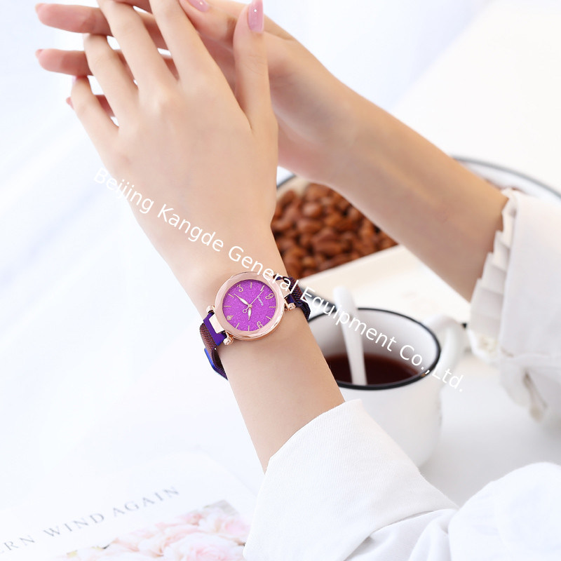 WJ-8084 New Stainless Steel Band Magnetic Strap Quartz Watch