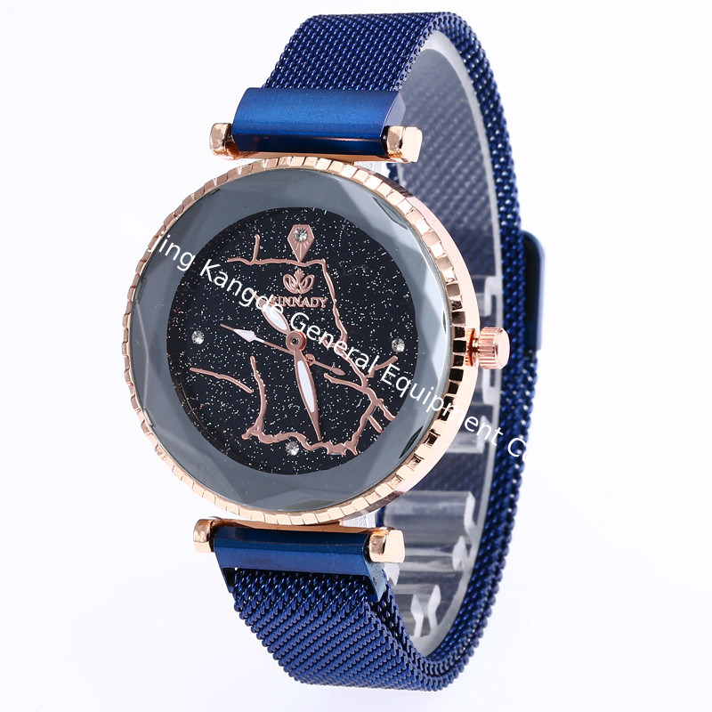 WJ-7870 Classia Luxury Elegance Ladies Watch With Magnet Buckle Special Design Wholesale Charming Student Watch For Women