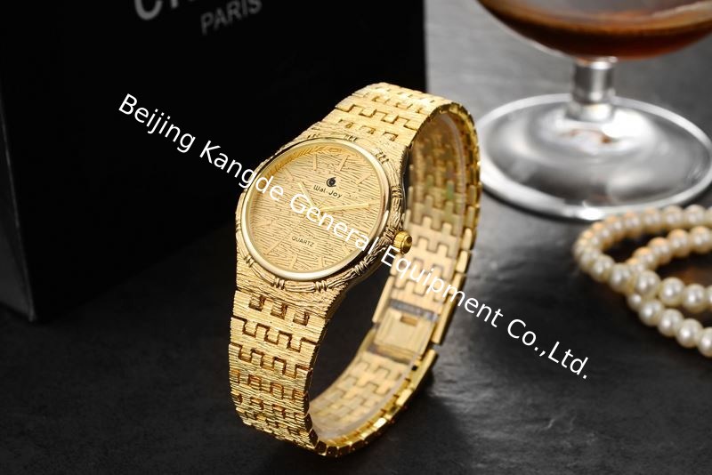 Wal-Joy Brand Water Resistant Japan Movt Female Wrist Watch WJ9004