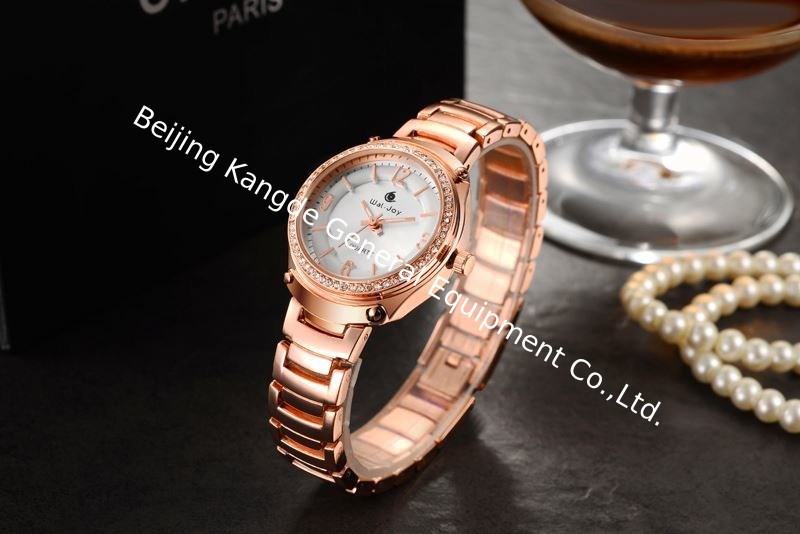 Wal-Joy Brand Stainless Steel Back Japan Movement Women Waterproof Watch WJ9005