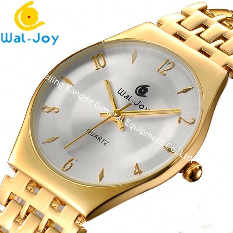 Wal-Joy Brand Water Resistant High Quality Woman Hollow Watch WJ9006