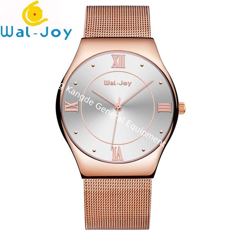 Wal-Joy Brand Men Fashion Quartz 3ATM Waterproof Mesh Belt Wrist Watch WJ8003