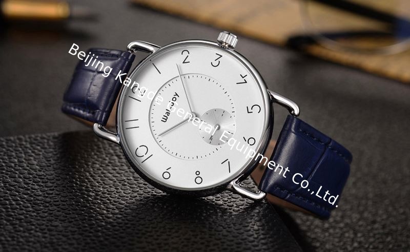 Simple High Quality Quartz Classical Attractive Wal-Joy Gentleman Watches WJ8005