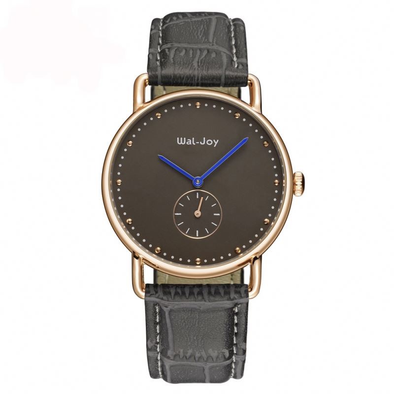 Personality Trendy Wal-Joy Brand Small Dial Can Work Wholesale Hand Watch WJ8006